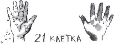 Иллюстрация к книге — Брат-юннат [i_048.jpg]