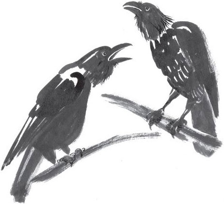 Иллюстрация к книге — Брат-юннат [i_051.jpg]