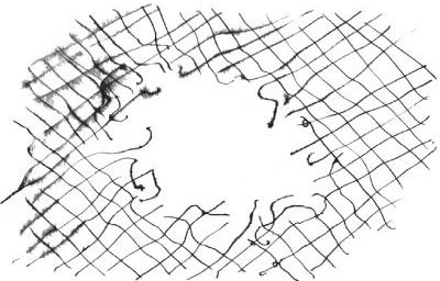 Иллюстрация к книге — Брат-юннат [i_052.jpg]