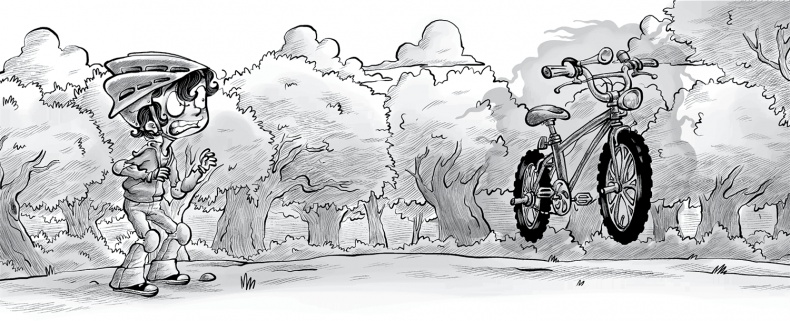 Иллюстрация к книге — Охотники за призраками. Призраки не ездят на великах, так ведь? [i_006.jpg]