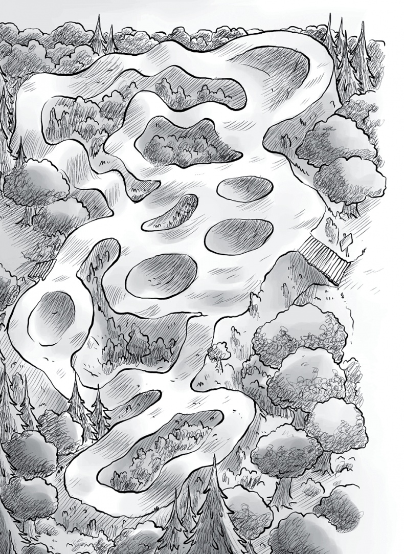 Иллюстрация к книге — Охотники за призраками. Призраки не ездят на великах, так ведь? [i_017.jpg]