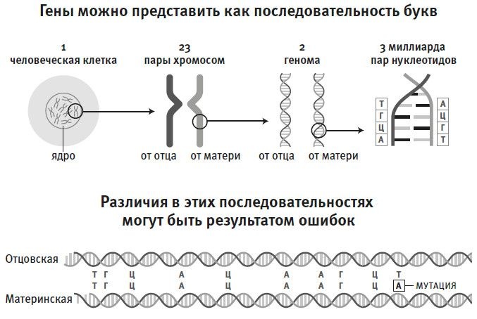 Иллюстрация к книге — Кто мы и как сюда попали. Древняя ДНК и новая наука о человеческом прошлом [i_005.jpg]