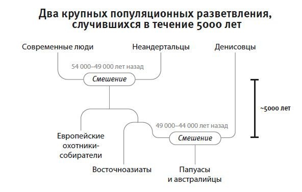 Иллюстрация к книге — Кто мы и как сюда попали. Древняя ДНК и новая наука о человеческом прошлом [i_037.jpg]