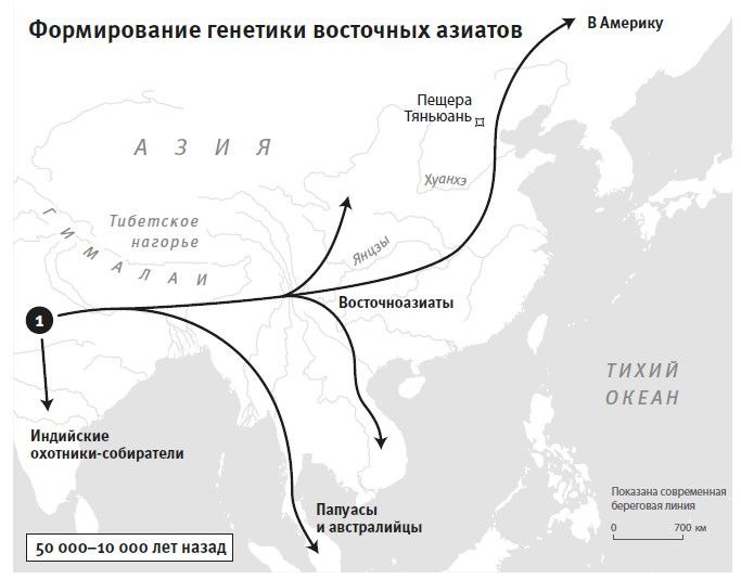 Иллюстрация к книге — Кто мы и как сюда попали. Древняя ДНК и новая наука о человеческом прошлом [i_038.jpg]