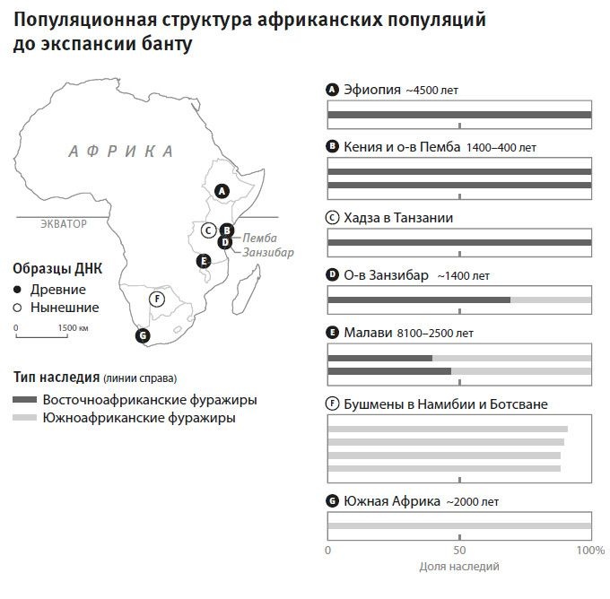 Иллюстрация к книге — Кто мы и как сюда попали. Древняя ДНК и новая наука о человеческом прошлом [i_045.jpg]