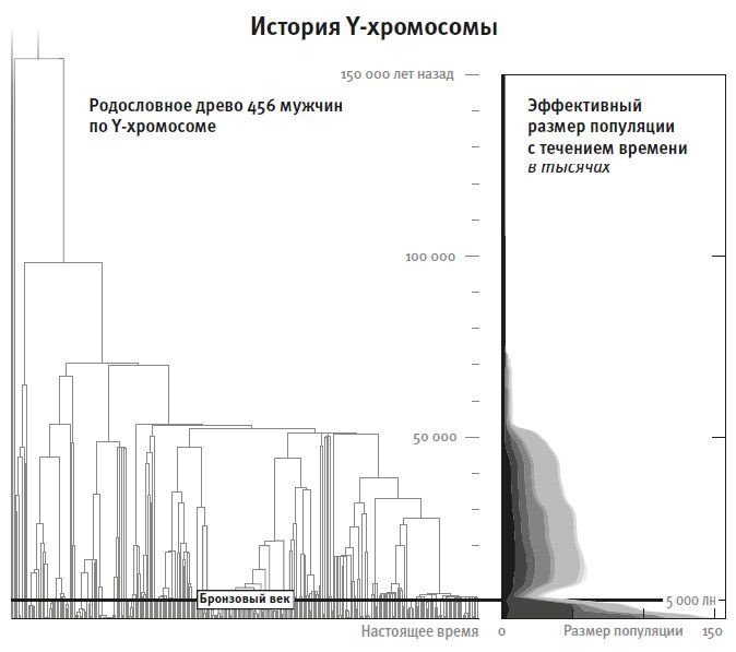 Иллюстрация к книге — Кто мы и как сюда попали. Древняя ДНК и новая наука о человеческом прошлом [i_047.jpg]
