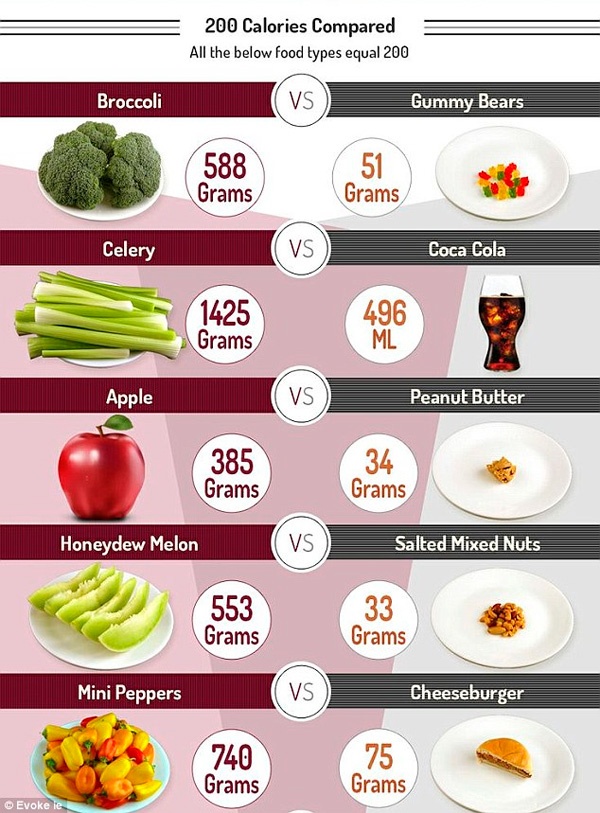 Иллюстрация к книге — Похудеть – это просто [_51.jpg]