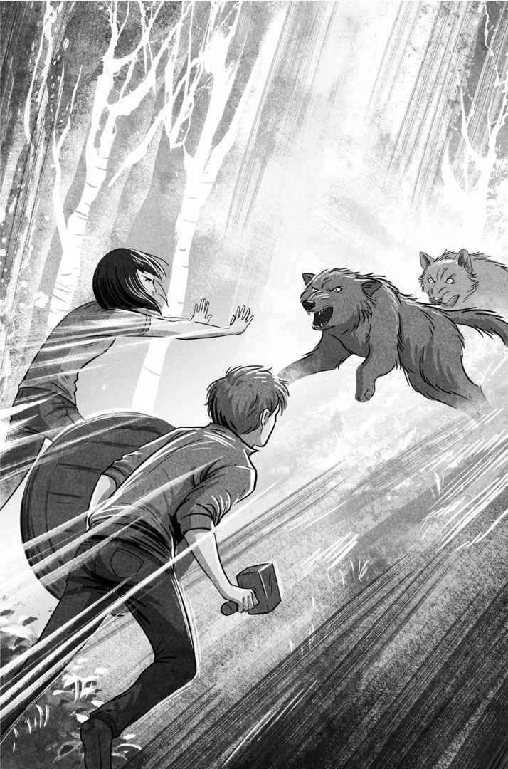 Иллюстрация к книге — Змеи Тора [img_1.jpg]