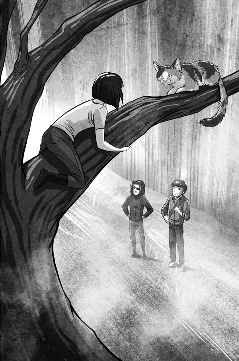 Иллюстрация к книге — Змеи Тора [img_13.jpg]