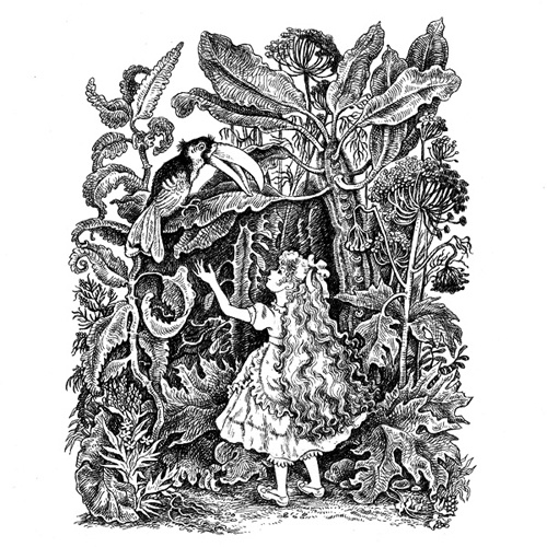 Иллюстрация к книге — Унция или Драгоценное Ничто [i_011.jpg]