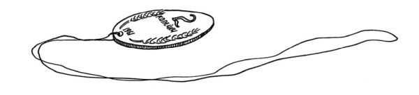 Иллюстрация к книге — Черная водолазка [i_056.jpg]