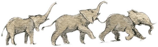 Иллюстрация к книге — Голубая бусинка [i_031.jpg]