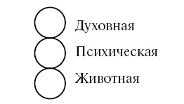 Иллюстрация к книге — Охота на работу. Как не промахнуться в целях жизни [img_9.jpg]