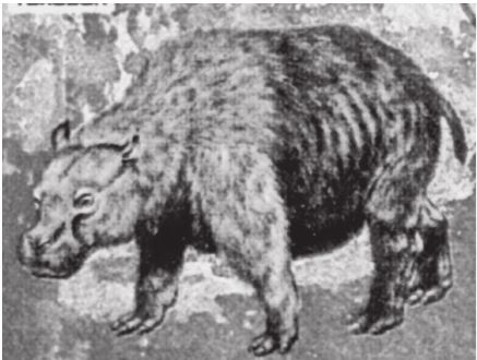 Иллюстрация к книге — Исчезнувшие цивилизации. Взаимосвязь культур и парадоксы истории [i_005.jpg]