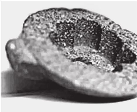 Иллюстрация к книге — Исчезнувшие цивилизации. Взаимосвязь культур и парадоксы истории [i_050.jpg]