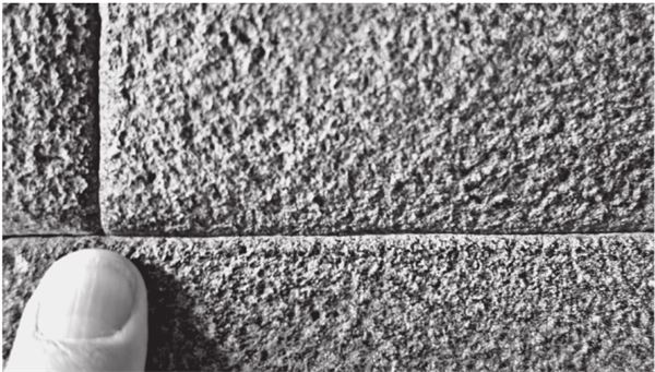 Иллюстрация к книге — Исчезнувшие цивилизации. Взаимосвязь культур и парадоксы истории [i_063.jpg]