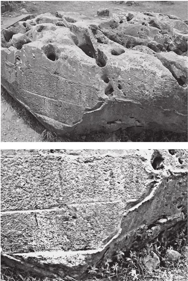 Иллюстрация к книге — Исчезнувшие цивилизации. Взаимосвязь культур и парадоксы истории [i_098.jpg]