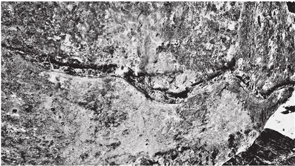 Иллюстрация к книге — Исчезнувшие цивилизации. Взаимосвязь культур и парадоксы истории [i_099.jpg]