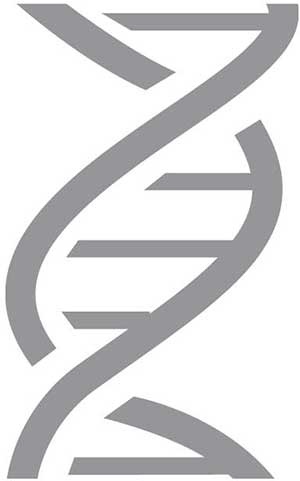 Иллюстрация к книге — Метод Нагумо. Японская система питания, которая поможет снизить вес, вернуть молодость кожи и улучшить здоровье за 4 недели [img_2.jpg]