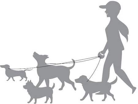 Иллюстрация к книге — Метод Нагумо. Японская система питания, которая поможет снизить вес, вернуть молодость кожи и улучшить здоровье за 4 недели [img_38.jpg]