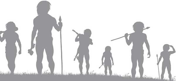 Иллюстрация к книге — Метод Нагумо. Японская система питания, которая поможет снизить вес, вернуть молодость кожи и улучшить здоровье за 4 недели [img_4.jpg]