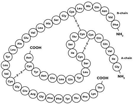 Иллюстрация к книге — Метод Нагумо. Японская система питания, которая поможет снизить вес, вернуть молодость кожи и улучшить здоровье за 4 недели [img_44.jpg]