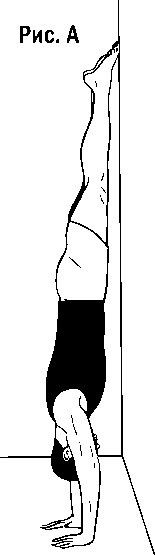 Иллюстрация к книге — Инструменты гигантов. Секреты успеха, приемы повышения продуктивности и полезные привычки выдающихся людей [image11.jpg]