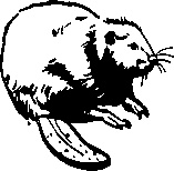 Иллюстрация к книге — Инструменты гигантов. Секреты успеха, приемы повышения продуктивности и полезные привычки выдающихся людей [image14.jpg]