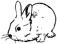 Иллюстрация к книге — Инструменты гигантов. Секреты успеха, приемы повышения продуктивности и полезные привычки выдающихся людей [image16.jpg]