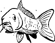 Иллюстрация к книге — Инструменты гигантов. Секреты успеха, приемы повышения продуктивности и полезные привычки выдающихся людей [image2.jpg]