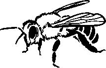 Иллюстрация к книге — Инструменты гигантов. Секреты успеха, приемы повышения продуктивности и полезные привычки выдающихся людей [image46.jpg]