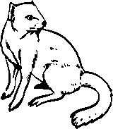 Иллюстрация к книге — Инструменты гигантов. Секреты успеха, приемы повышения продуктивности и полезные привычки выдающихся людей [image48.jpg]