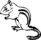 Иллюстрация к книге — Инструменты гигантов. Секреты успеха, приемы повышения продуктивности и полезные привычки выдающихся людей [image49.jpg]