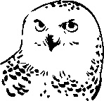 Иллюстрация к книге — Инструменты гигантов. Секреты успеха, приемы повышения продуктивности и полезные привычки выдающихся людей [image50.jpg]