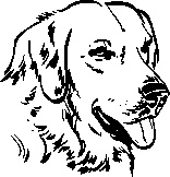 Иллюстрация к книге — Инструменты гигантов. Секреты успеха, приемы повышения продуктивности и полезные привычки выдающихся людей [image58.jpg]