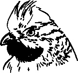 Иллюстрация к книге — Инструменты гигантов. Секреты успеха, приемы повышения продуктивности и полезные привычки выдающихся людей [image64.jpg]