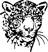 Иллюстрация к книге — Инструменты гигантов. Секреты успеха, приемы повышения продуктивности и полезные привычки выдающихся людей [image65.jpg]