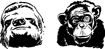 Иллюстрация к книге — Инструменты гигантов. Секреты успеха, приемы повышения продуктивности и полезные привычки выдающихся людей [image68.jpg]