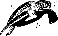 Иллюстрация к книге — Инструменты гигантов. Секреты успеха, приемы повышения продуктивности и полезные привычки выдающихся людей [image69.jpg]