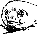 Иллюстрация к книге — Инструменты гигантов. Секреты успеха, приемы повышения продуктивности и полезные привычки выдающихся людей [image70.jpg]