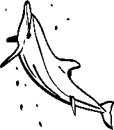 Иллюстрация к книге — Инструменты гигантов. Секреты успеха, приемы повышения продуктивности и полезные привычки выдающихся людей [image73.jpg]