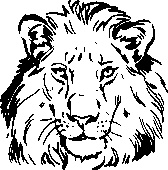 Иллюстрация к книге — Инструменты гигантов. Секреты успеха, приемы повышения продуктивности и полезные привычки выдающихся людей [image79.jpg]