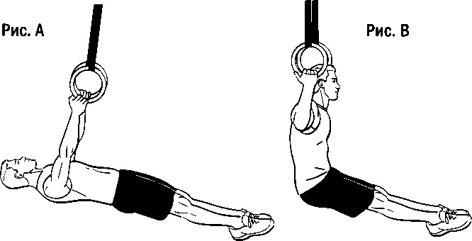 Иллюстрация к книге — Инструменты гигантов. Секреты успеха, приемы повышения продуктивности и полезные привычки выдающихся людей [image8.jpg]