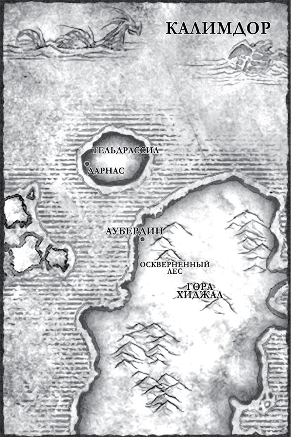 Иллюстрация к книге — World of Warcraft. Ярость Бури [i_001.jpg]