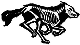 Иллюстрация к книге — Навия. Западня [i_005.jpg]