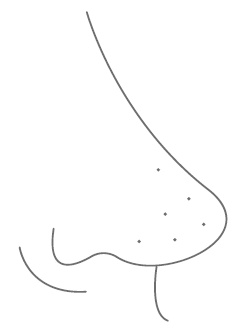 Иллюстрация к книге — Главная книга косметического маньяка. О бьюти-трендах, домашнем уходе и уколах молодости честно [img_8.jpg]