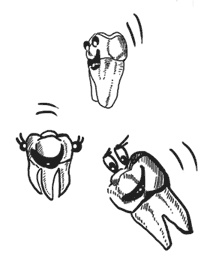 Иллюстрация к книге — Наверно, я еще маленький [i_018.jpg]