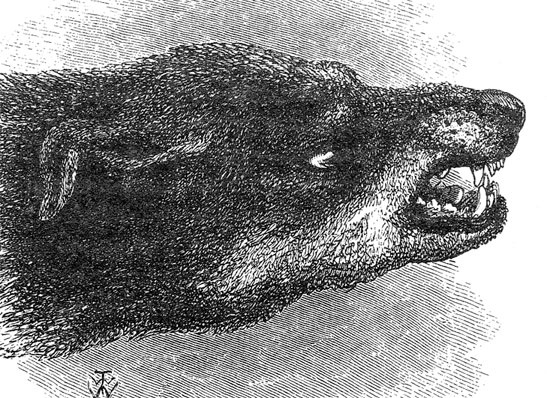 Иллюстрация к книге — Тело помнит все [i_015.jpg]