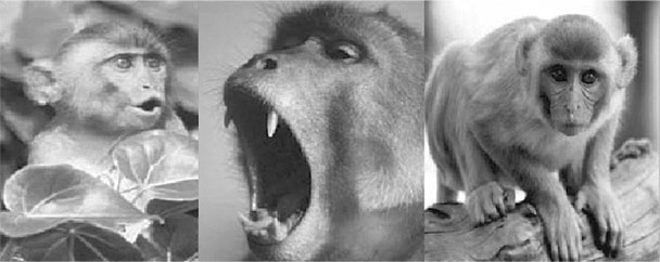 Иллюстрация к книге — Тело помнит все [i_017.jpg]