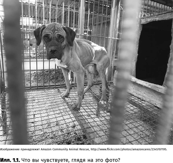 Иллюстрация к книге — Искусство обмана [i_002.jpg]